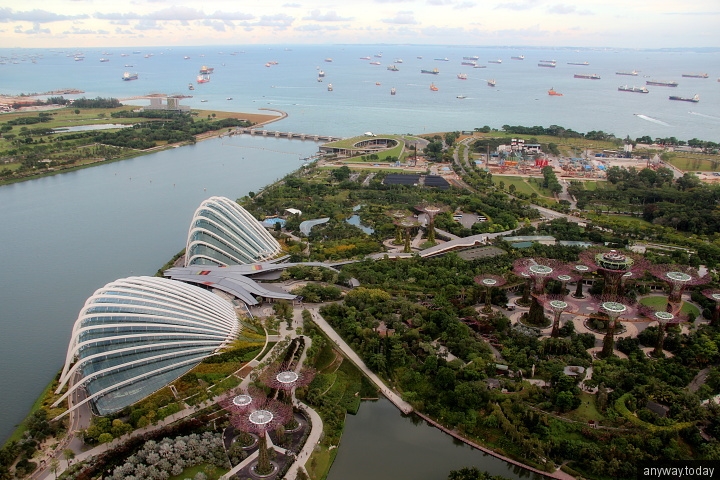 Вид на Сингапурские сады