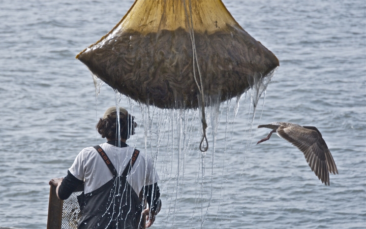 Ловля кальмаров на Фукуоке