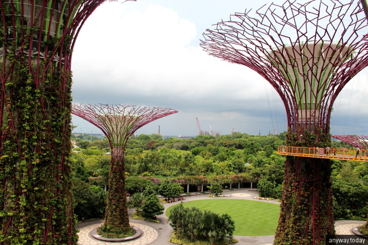Сингапурские сады у залива